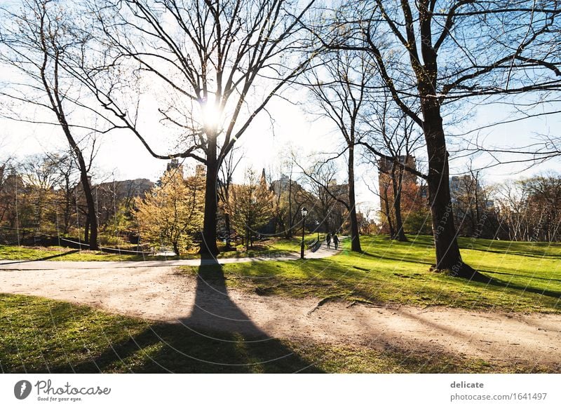 Central Park Ferien & Urlaub & Reisen Tourismus Ausflug Ferne Freiheit Sightseeing Städtereise Garten Natur Himmel Sonne Frühling Schönes Wetter Pflanze Baum