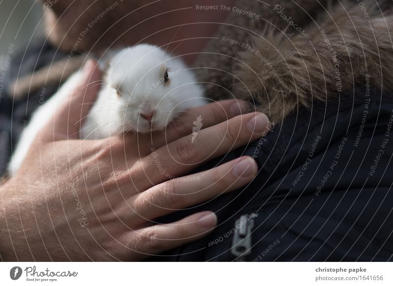 Ostereierbringer Tier Haustier 1 niedlich Tierliebe Hase & Kaninchen Streicheln Kuscheln festhalten Neugier Ostern tragen Farbfoto Außenaufnahme Tag Licht