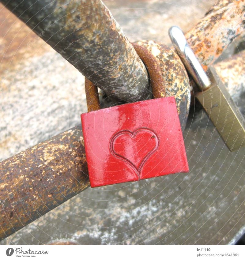 Liebesschloss mit rotem Herz Vorhängeschloss Schloss Brückengeländer Accessoire Schmuck Liebesbeweis Liebesbekundung Liebespaar Liebeserklärung Liebesgruß