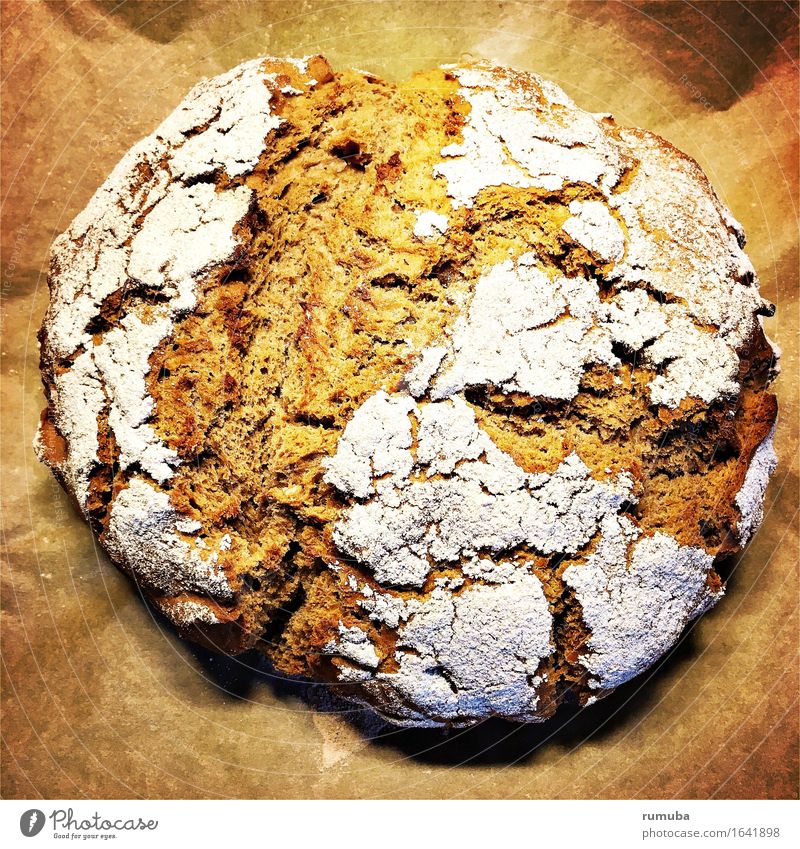 Sauerteig Brot Getreide Teigwaren Backwaren Gesunde Ernährung Herd & Backofen Essen genießen einzigartig braun Vorfreude Duft brot backen Vollkorn sauerteig