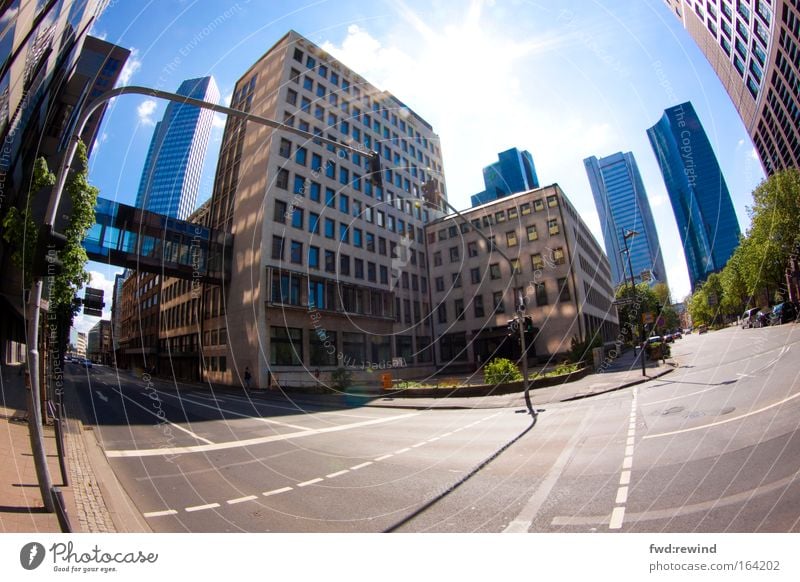 Als wär's New York Farbfoto Außenaufnahme Menschenleer Tag Licht Sonnenlicht Sonnenstrahlen Gegenlicht Fischauge Hauptstadt Stadtzentrum Skyline Hochhaus