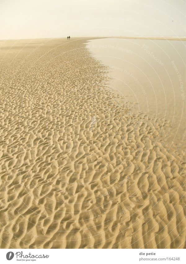 there`s nothing Gedeckte Farben Außenaufnahme Menschenleer Erholung Ferne Freiheit Winter Nordsee Sand Wasser Denken wandern einfach braun grau weiß