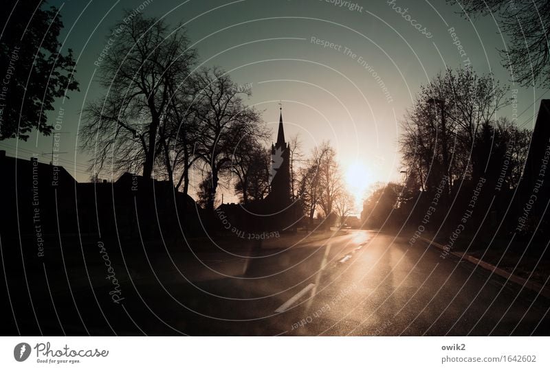 Schlafenszeit Baum Dorf Sachsen-Anhalt Dorfidylle Skyline bevölkert Haus Kirche Verkehr Straße leuchten ruhig Idylle Feierabend Farbfoto Außenaufnahme