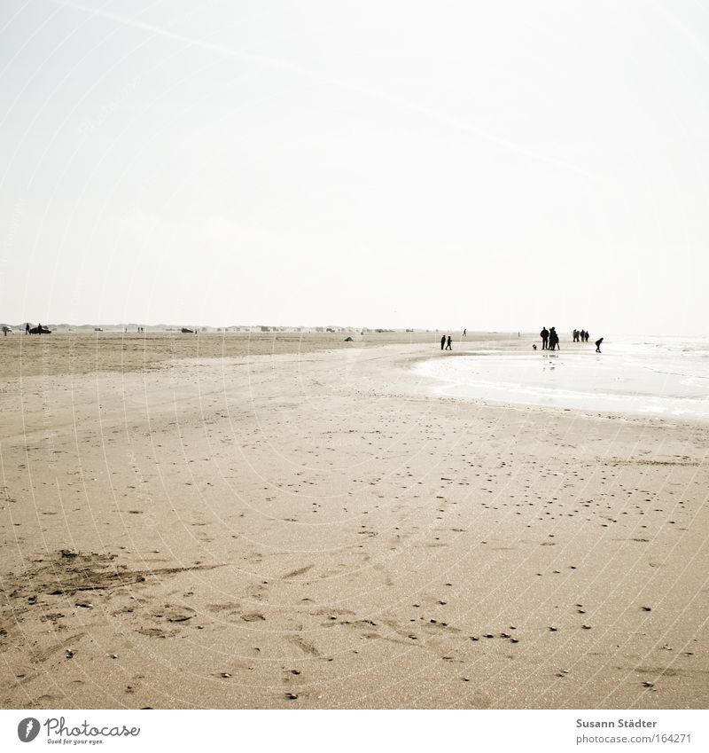 Am Strand von Römö Farbfoto Gedeckte Farben mehrfarbig Außenaufnahme Textfreiraum links Textfreiraum oben Textfreiraum unten Tag Licht Kontrast Silhouette