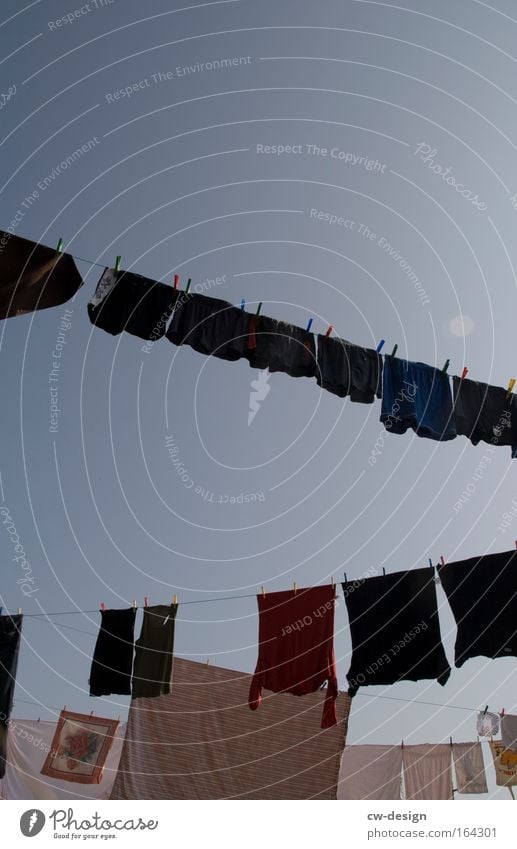 Waschtag Farbfoto Außenaufnahme Detailaufnahme Tag Sonnenlicht Starke Tiefenschärfe Froschperspektive Dekoration & Verzierung Bekleidung T-Shirt Unterwäsche