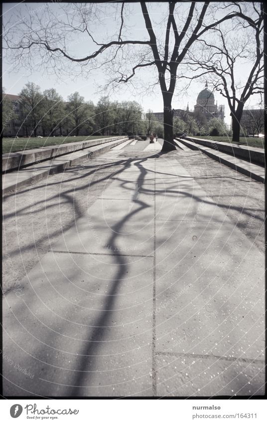 P-P-D-E Farbfoto Außenaufnahme Morgen Kunstwerk Skulptur Umwelt Schönes Wetter Baum Park Potsdam Europa Stadtzentrum Burg oder Schloss Platz Bauwerk Denkmal