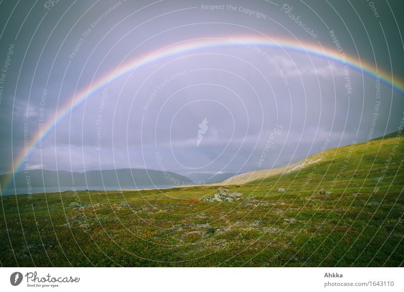 Lichtbogen Landschaft Urelemente schlechtes Wetter Regen Wiese Berge u. Gebirge Tor leuchten Glaube Religion & Glaube Ferne Zukunft Regenbogen Farbfoto