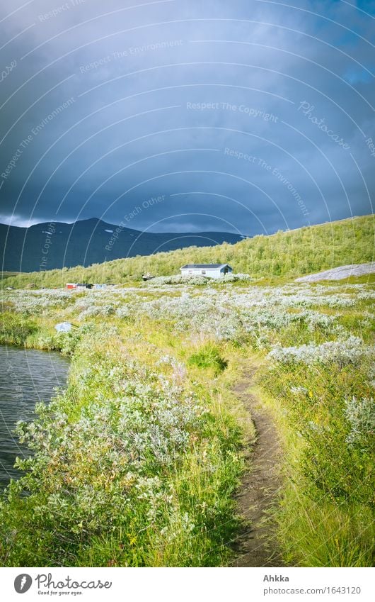 Trampelpfad Abenteuer wandern Natur Sommer Wetter Seeufer Fjäll Hütte Wege & Pfade blau grün geschwungen Linie mehrfarbig Außenaufnahme Menschenleer Tag