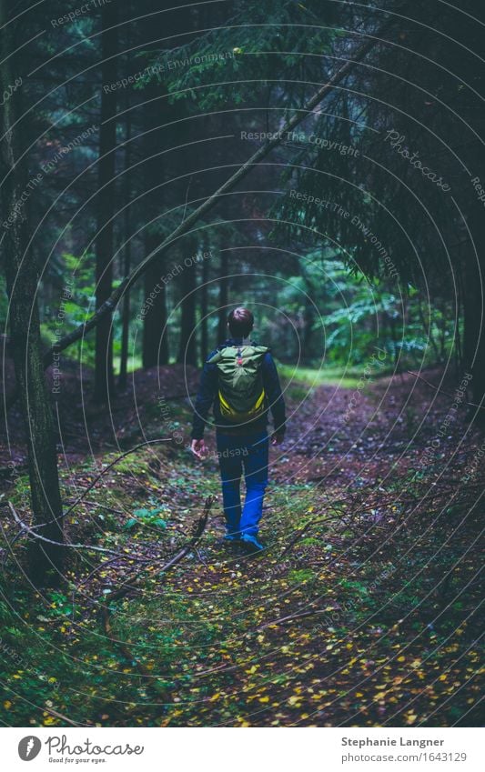 Wandertag Mensch maskulin Junger Mann Jugendliche Erwachsene 1 18-30 Jahre 30-45 Jahre Umwelt Natur Landschaft Pflanze Baum Wald Erholung wandern gehen reisen