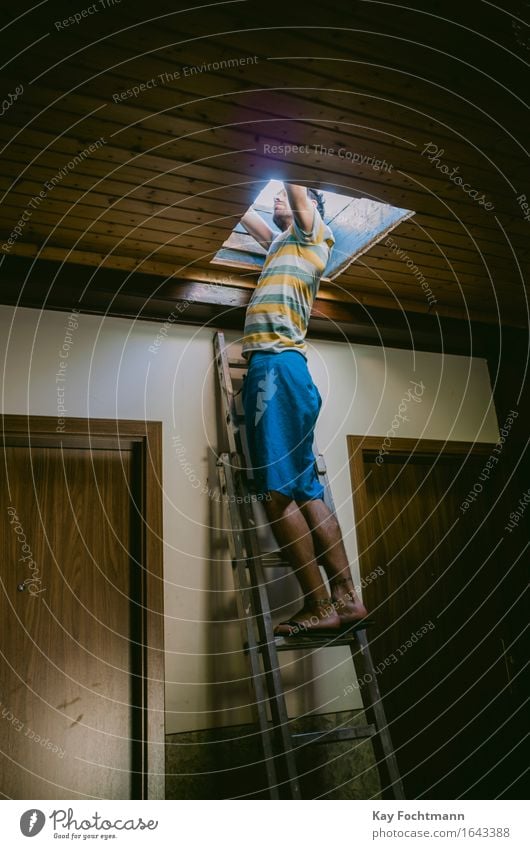 Junger Mann steht auf Sprossenleiter und schaut aus der Dachluke Freizeit & Hobby Abenteuer Sommer Wohnung Treppenhaus Leiter Mensch maskulin Erwachsene Leben 1