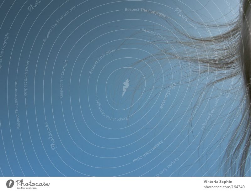 windig Farbfoto Außenaufnahme Tag Gegenlicht Froschperspektive Halbprofil Freude Glück Schönes Wetter Wind Haare & Frisuren brünett langhaarig genießen hören