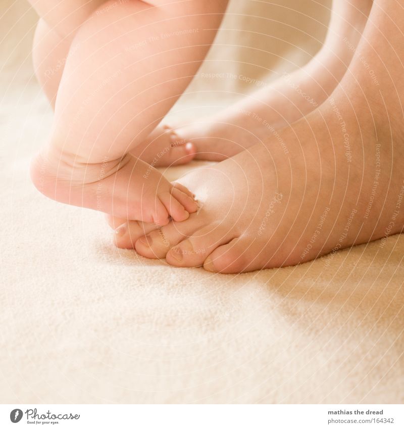 VIERFÜßLERSTAND Farbfoto Innenaufnahme Detailaufnahme Hintergrund neutral Tag Licht Schatten Kontrast Sonnenlicht Glück Pediküre Mensch Baby Frau Erwachsene