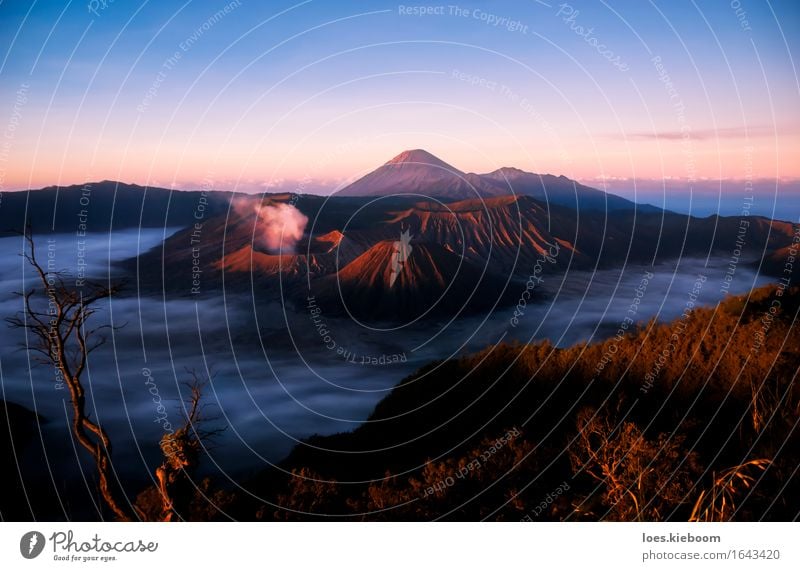 Volcanos at sunrise in Java Ferien & Urlaub & Reisen Natur Park Vulkan glänzend blau rot bromo indonesia volcano gunung volcanic mountain landscape smoke