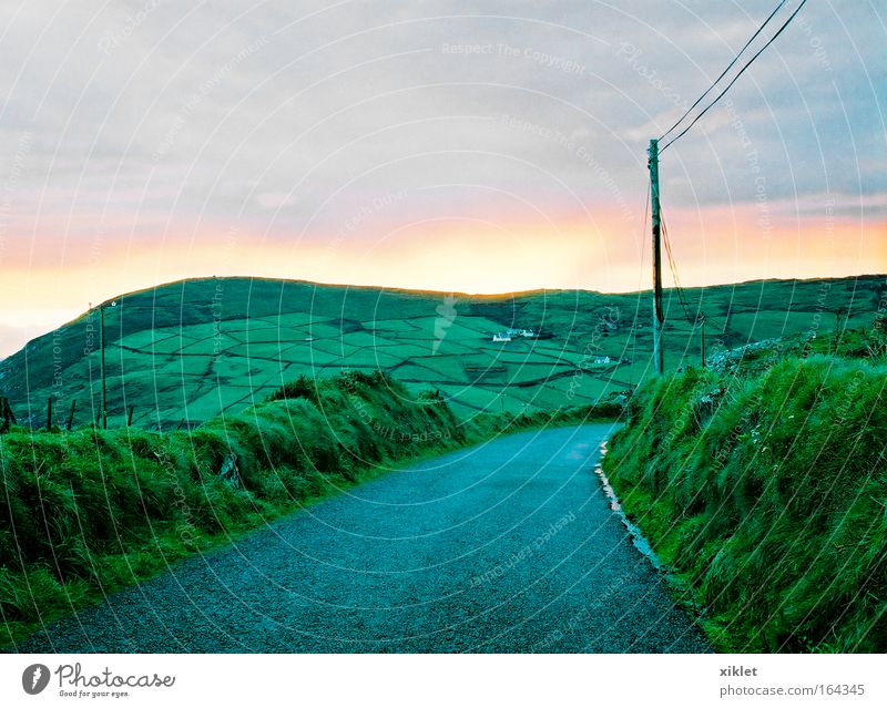 Land Abend Sonnenlicht Natur Landschaft Pflanze Himmel Wolkenloser Himmel Herbst Wetter Schönes Wetter Baum Sträucher Nutzpflanze Feld authentisch natürlich