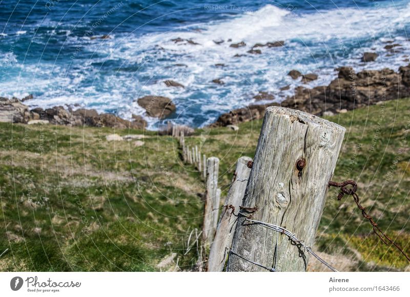 begrenzter Meereszugang Landschaft Urelemente Erde Wasser Schönes Wetter Wind Wellen Küste Wellengang Klippe Steilufer Holz maritim schön stark blau grau grün