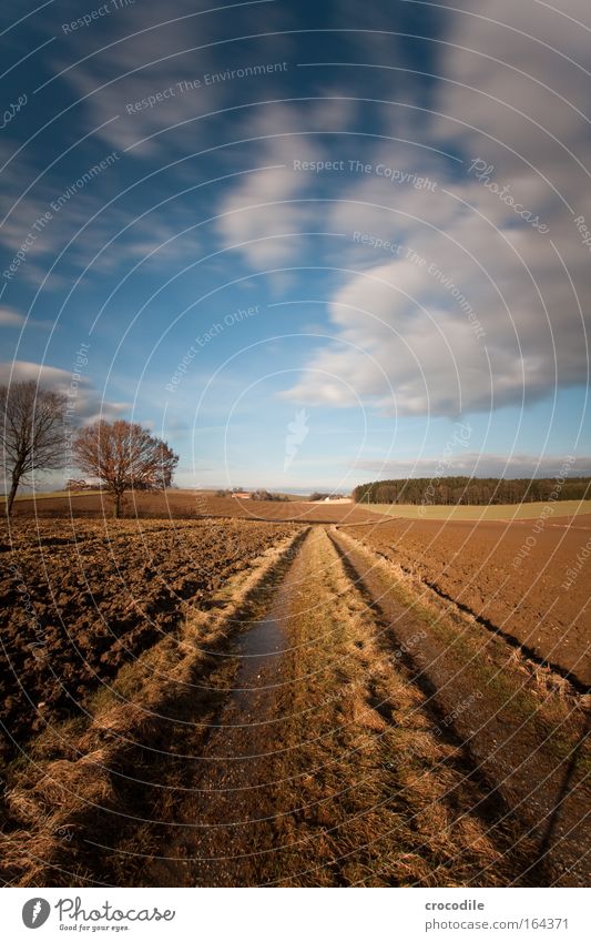 Sehnsucht Farbfoto Außenaufnahme Menschenleer Textfreiraum oben Tag Schatten Kontrast Sonnenlicht Langzeitbelichtung Bewegungsunschärfe Starke Tiefenschärfe