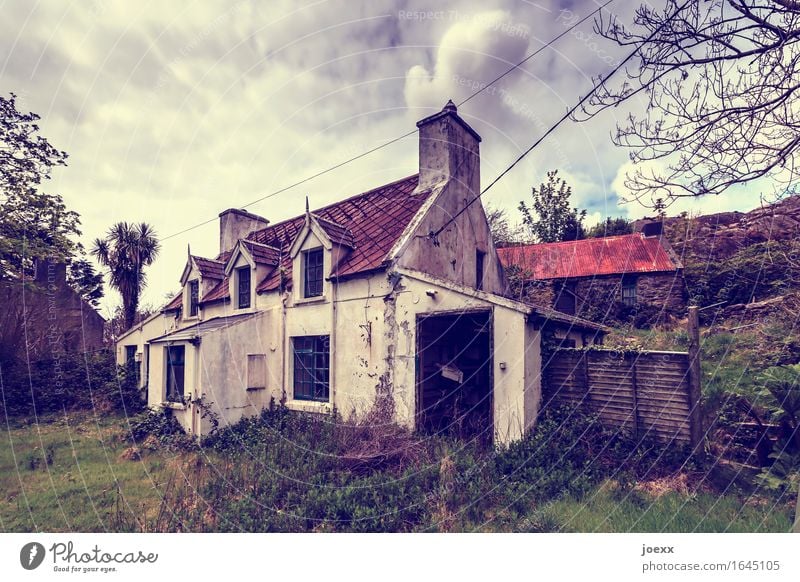 Irish Pub Himmel Wolken Wiese Haus alt klein Idylle Krise Verfall Vergangenheit Wandel & Veränderung Häusliches Leben Unbewohnt leer Farbfoto Gedeckte Farben