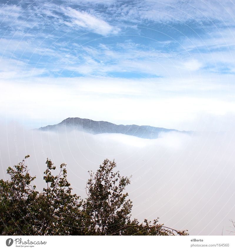 Berggipfel und Wolkental Farbfoto Außenaufnahme Textfreiraum oben Tag Zentralperspektive Totale Ferien & Urlaub & Reisen Ferne Freiheit Berge u. Gebirge wandern