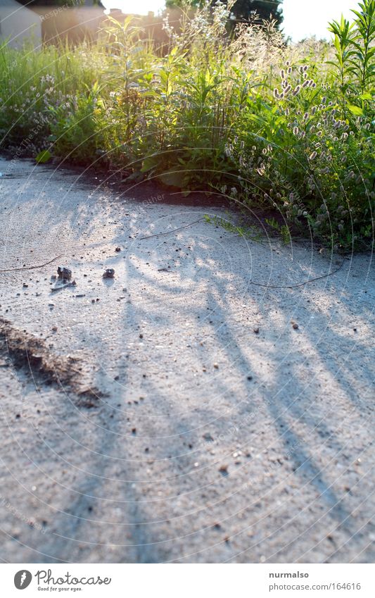 da iss nix !? Farbfoto Morgen Totale Schulhof Labor Umwelt Natur Landschaft Pflanze Tier Erde Garten Feld Dorf Verkehr Straßenverkehr Wege & Pfade