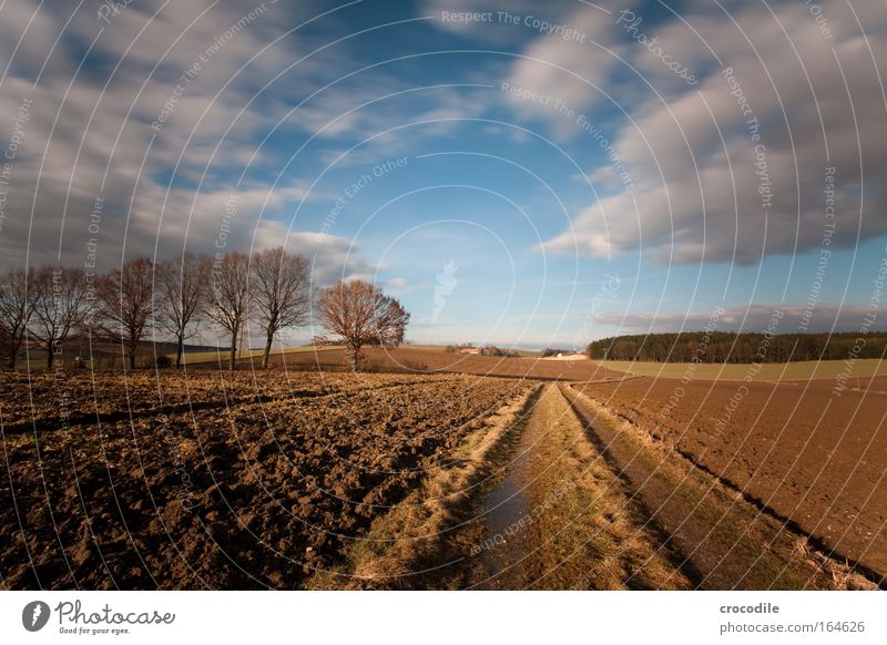 Sehnsucht II Farbfoto Außenaufnahme Menschenleer Textfreiraum oben Tag Schatten Kontrast Sonnenlicht Langzeitbelichtung Bewegungsunschärfe Starke Tiefenschärfe