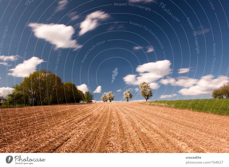 Weite Farbfoto Außenaufnahme Menschenleer Textfreiraum oben Textfreiraum unten Tag Licht Kontrast Sonnenlicht Bewegungsunschärfe Starke Tiefenschärfe