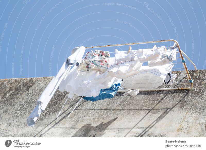 Da war Weißwaschen angesagt Häusliches Leben Wolkenloser Himmel Sonne Haus Fassade Balkon Bekleidung Arbeit & Erwerbstätigkeit leuchten hell Sauberkeit blau