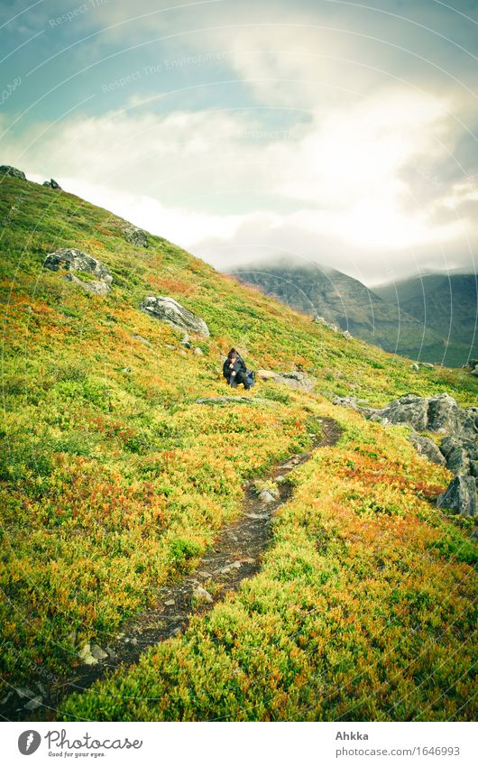 Beerenpause ruhig Meditation Ferien & Urlaub & Reisen Abenteuer Berge u. Gebirge wandern Mensch feminin 1 Natur Herbst Moos Fjäll Wege & Pfade Fröhlichkeit