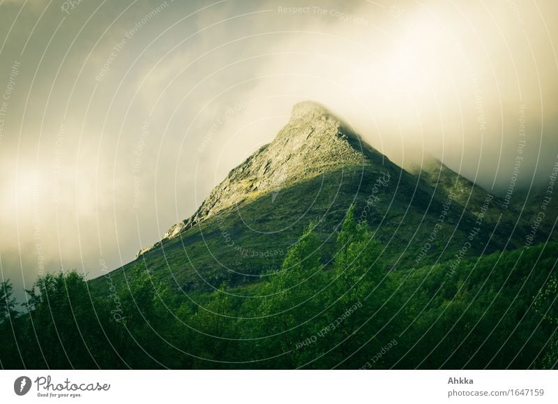 Glühberg Natur Landschaft Sonnenlicht Wind Sturm Gipfel leuchten exotisch fantastisch gigantisch glänzend groß Unendlichkeit wild gelb grün Stimmung standhaft