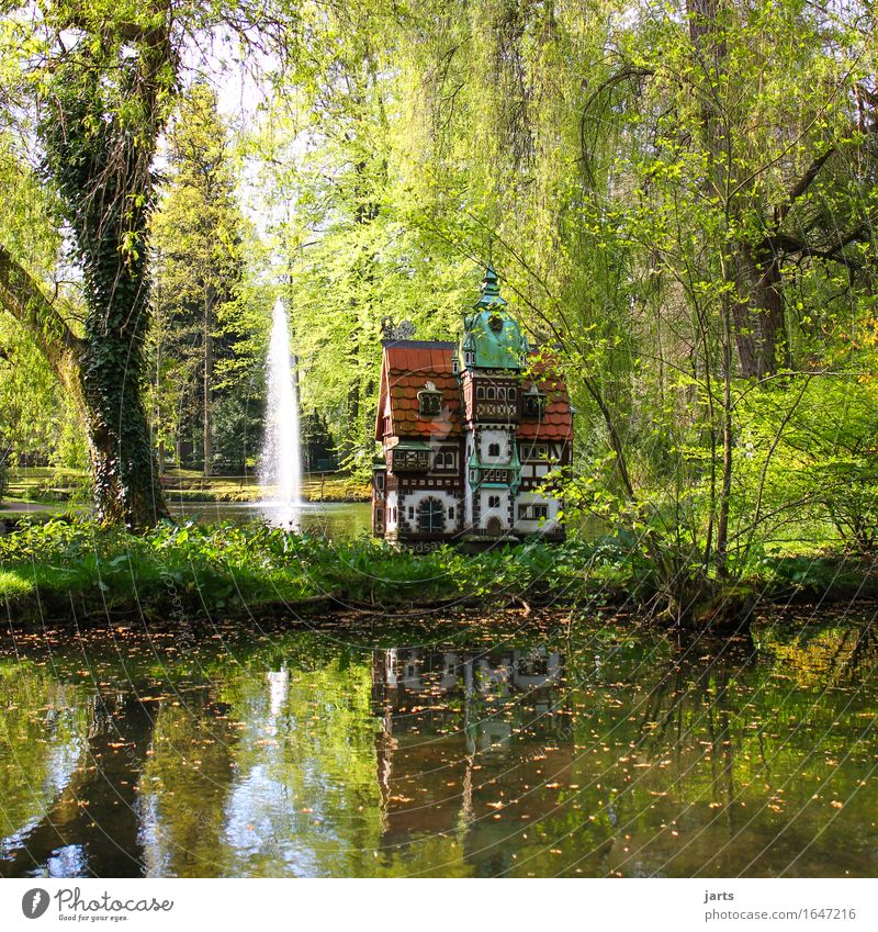 entenschloss Landschaft Wasser Frühling Sommer Schönes Wetter Baum Blatt Grünpflanze Park Teich Traumhaus Burg oder Schloss alt außergewöhnlich exotisch