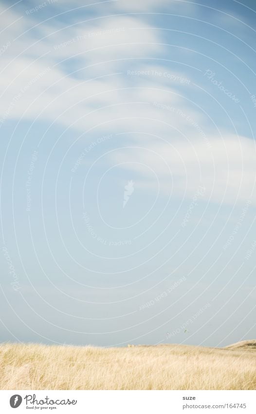 Freiraum Ferien & Urlaub & Reisen Umwelt Natur Landschaft Pflanze Urelemente Luft Himmel Wolken Sommer Schönes Wetter Gras Strand Nordsee Stranddüne Sand