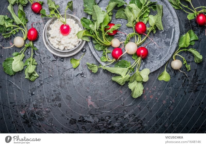 Frische saftige Radieschen mit Frischkäse Lebensmittel Käse Gemüse Salat Salatbeilage Ernährung Mittagessen Bioprodukte Vegetarische Ernährung Diät Teller