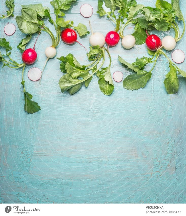 Frische Bio- Radieschen aus dem Garten auf Blau Lebensmittel Gemüse Ernährung Mittagessen Bioprodukte Vegetarische Ernährung Diät Stil Design Gesunde Ernährung