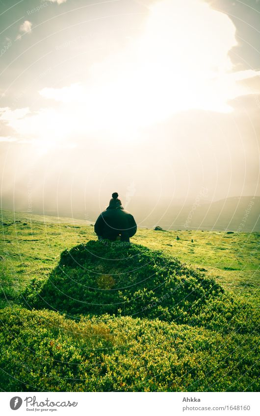 Den Blick loslassen Mensch 1 Sonne Nebel Moos Hügel atmen Unendlichkeit Stimmung Verliebtheit Fernweh Einsamkeit einzigartig Frieden genießen Konzentration