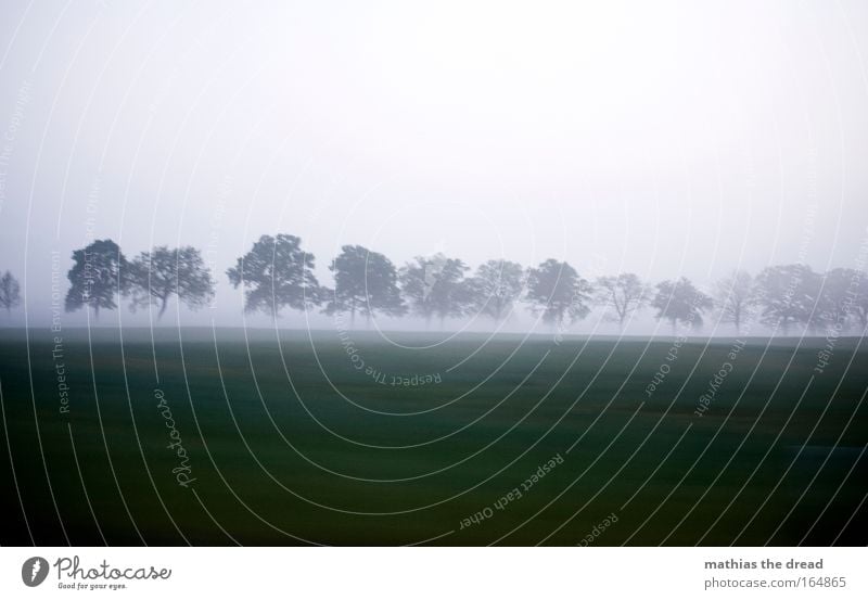 MORGENSTUND Farbfoto Gedeckte Farben Außenaufnahme Menschenleer Textfreiraum oben Morgendämmerung Licht Schatten Kontrast Schwache Tiefenschärfe Umwelt Natur