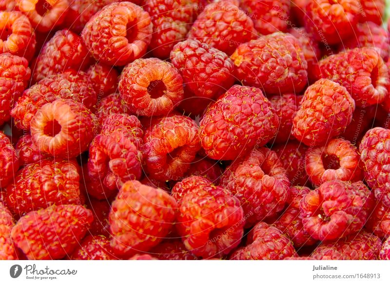 Frische rote Himbeere des Hintergrundes Vegetarische Ernährung frisch Himbeeren süß Beeren Lebensmittel Gesundheit roh organisch Gartenmaterial Farbfoto