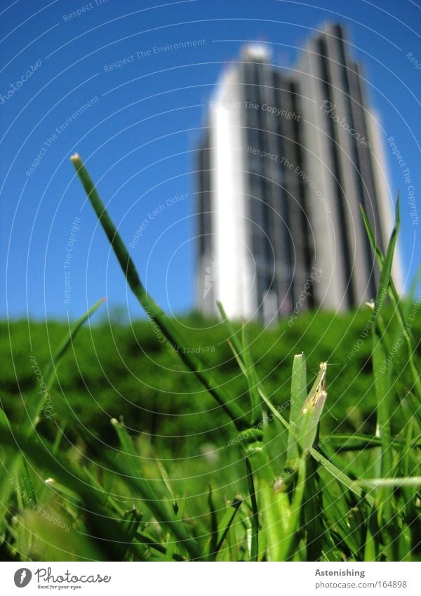 NATUR VS. TECHNIK - was wächst schneller? Farbfoto Außenaufnahme Makroaufnahme Menschenleer Tag Froschperspektive Ferien & Urlaub & Reisen Technik & Technologie