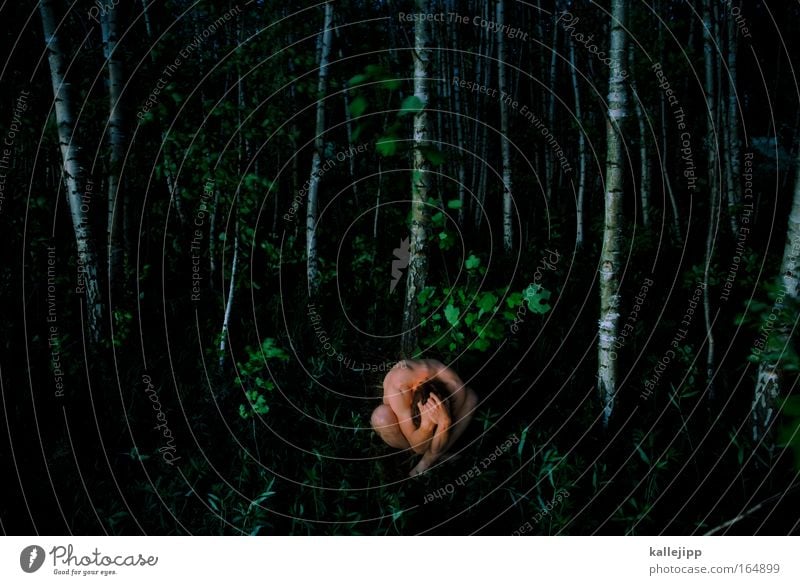 alone in the dark Dämmerung Mensch maskulin Mann Erwachsene 1 Umwelt Natur Landschaft Pflanze Tier Baum Gras Sträucher Blatt Grünpflanze Wald klein Sicherheit