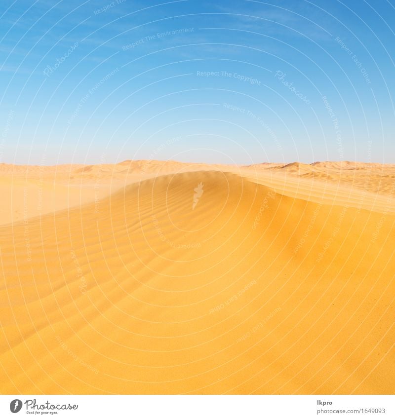 Sanddüne in Oman alten Wüste Rub al khali schön Ferien & Urlaub & Reisen Tourismus Abenteuer Safari Sommer Sonne Natur Landschaft Himmel Horizont Park Hügel