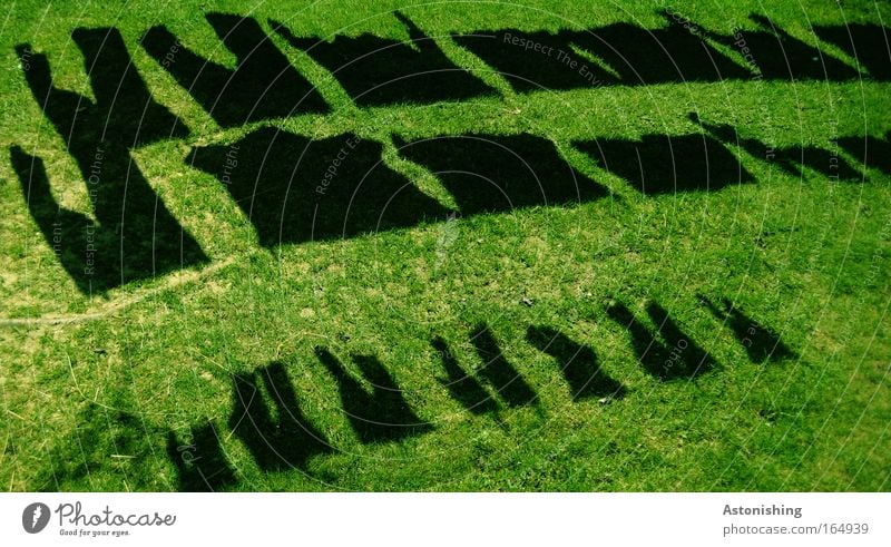 trocken? Farbfoto Außenaufnahme Muster Tag Schatten Kontrast Silhouette Garten Umwelt Natur Sommer Pflanze Gras Bekleidung T-Shirt Hemd Hose Stoff warten nass