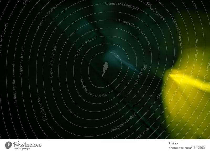 Nachtschatten Nachtleben Party ausgehen Feste & Feiern gelb schwarz Traurigkeit Schmerz Angst gefährlich Alkoholsucht Drogensucht bedrohlich Geschwindigkeit