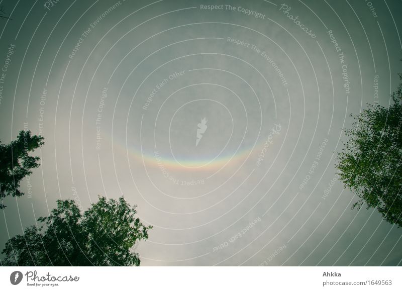 Ein kurzer Regenbogen am Himmel, der wie ein Lächelnder Mund aussieht, Smiley Natur Baum Zeichen Glück Fröhlichkeit Zufriedenheit Lebensfreude Perspektive