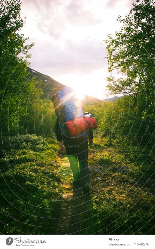 Into the Wild Ferien & Urlaub & Reisen Abenteuer Freiheit Berge u. Gebirge wandern Mensch 1 Natur Sonne Wald Wege & Pfade laufen Euphorie Kraft Mut Tatkraft