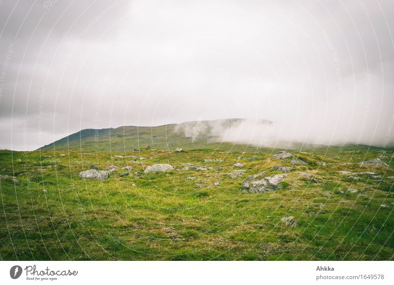 Dunstwege V Natur Landschaft Wolken Wetter schlechtes Wetter Nebel Regen Wiese Berge u. Gebirge grün weiß anstrengen Bewegung Einsamkeit einzigartig Erfahrung