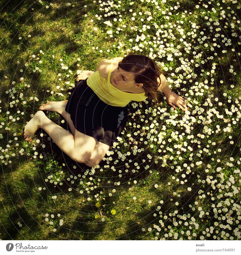 I was hoping Farbfoto Außenaufnahme Tag Schatten Sonnenlicht Vogelperspektive Mensch feminin Junge Frau Jugendliche Erwachsene 1 beobachten Denken Blick warten