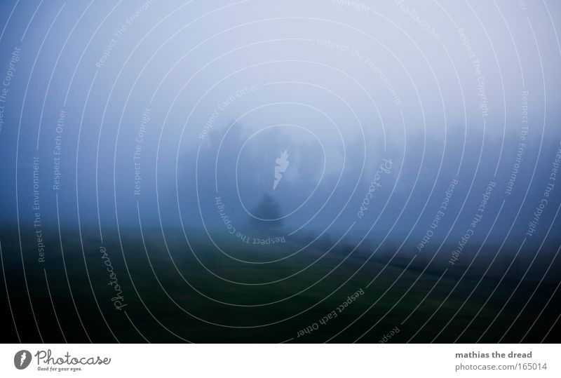 DIE NEBEL VON AVALON II Farbfoto Gedeckte Farben Außenaufnahme Textfreiraum oben Morgen Morgendämmerung Licht Schatten Kontrast Silhouette Lichterscheinung