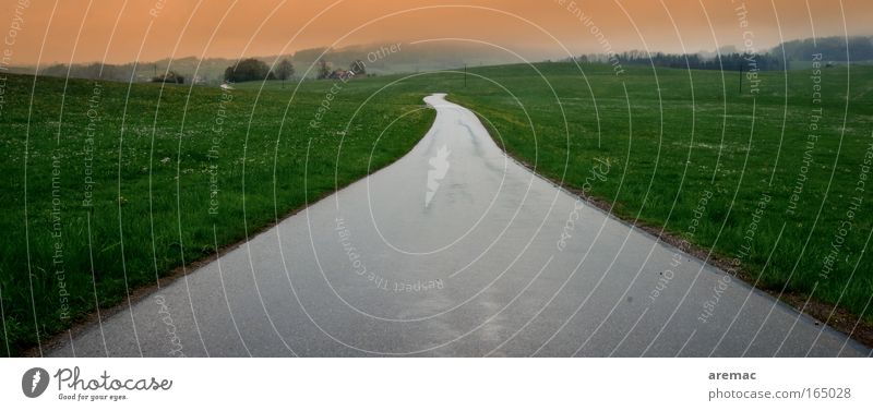 Regennasse Fahrbahn Farbfoto Gedeckte Farben Außenaufnahme Menschenleer Morgen Weitwinkel Natur Landschaft Frühling Wetter schlechtes Wetter Nebel Gras Wiese