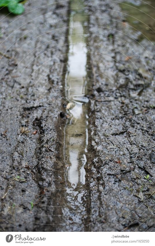 Durchgefahren Farbfoto Außenaufnahme Nahaufnahme Detailaufnahme Menschenleer Tag Abend Zentralperspektive Totale Blick nach oben Umwelt Natur Erde Sand Wasser