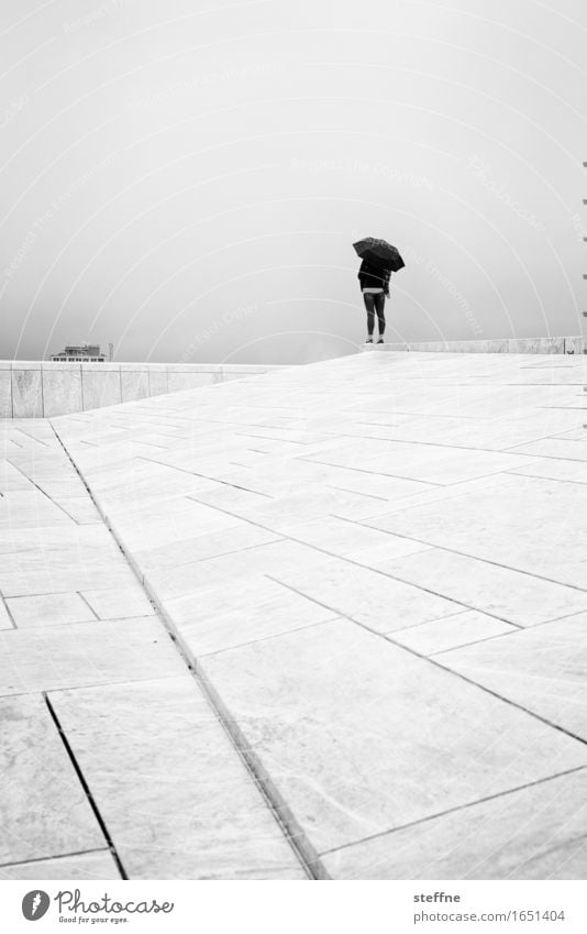 Regen Herbst schlechtes Wetter Nebel nass Regenschirm November trist Oslo Traurigkeit Schwarzweißfoto Außenaufnahme Textfreiraum oben Porträt