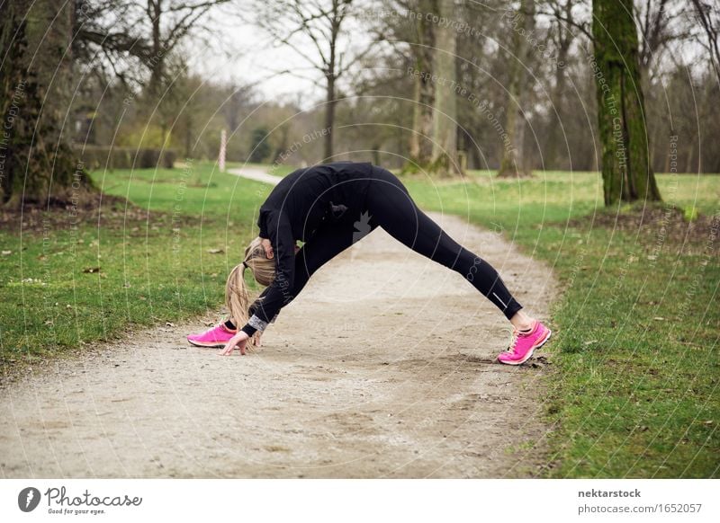 attarcive Frau, die sich im Park ausdehnt. Lifestyle Körper Wellness Winter Sport Mensch Erwachsene Baum Wege & Pfade Fitness sportlich üben Gesundheit Training