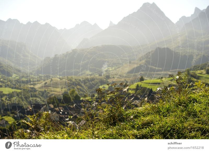 Tisch der Drei Könige II Umwelt Natur Landschaft Schönes Wetter Wiese Wald Felsen Berge u. Gebirge Gipfel Dorf grün Pyrenäen Außenaufnahme Bergkette Haus